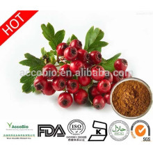 2015 HOT-SELLING extrait d&#39;aubépine chinoise / Hawthorn fruit PE Maslinic acide 20%, 95% HPLC